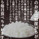 松丸米店 A1サイズポスター